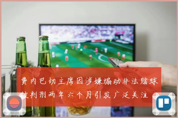 费内巴切主席因涉嫌煽动非法赌球被判刑两年六个月引发广泛关注